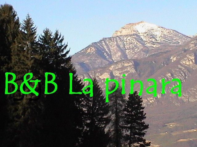 B&B La Pinara 特伦托 客房 照片